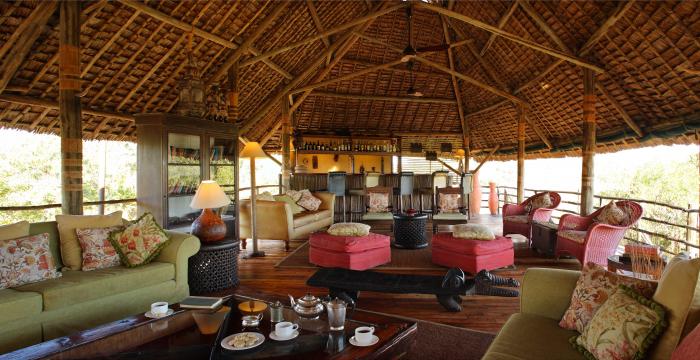 comfortable-elegance-our-lounge-siwandu0